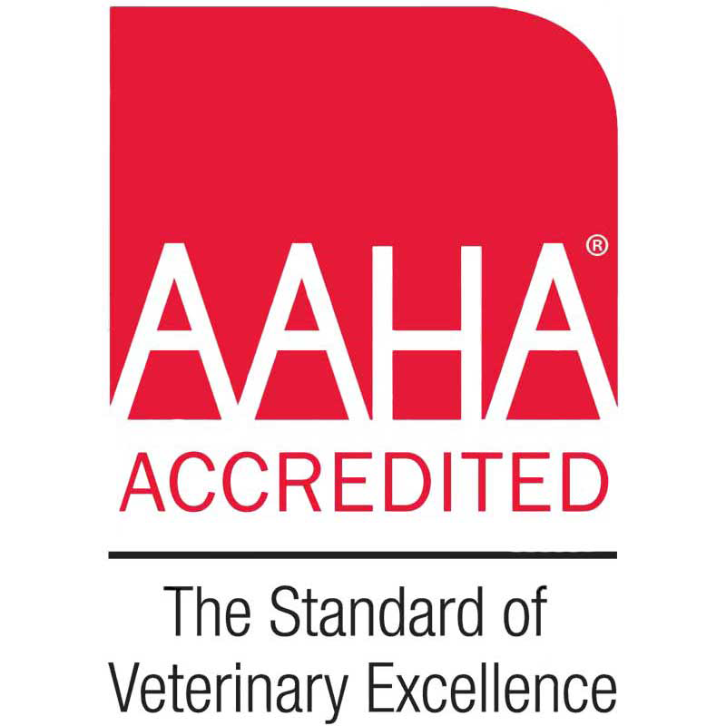 AAHA Accredited