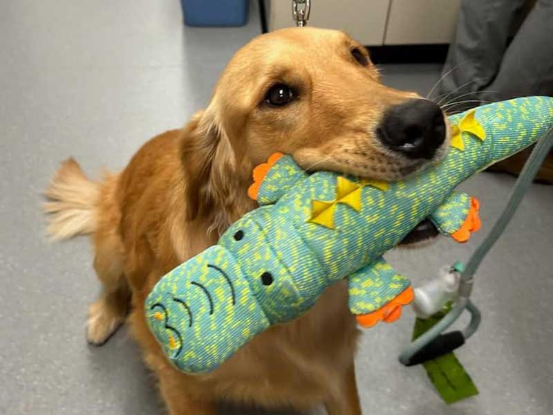 La Crosse Pet Hospital