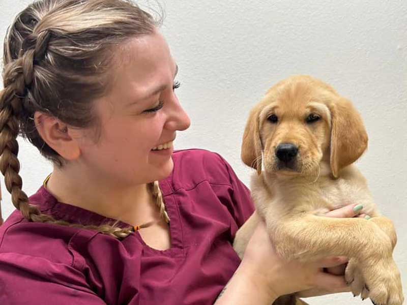 Hillside Animal Hospital Policies